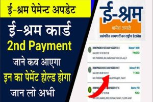 E Shram Card 2nd Installment: ई श्रम कार्ड वालों 3 सबसे बड़ी ग़लती जल्द सुधारें मिलेंगे ₹1000 2 E Shram Card 2nd Installmen