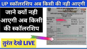 UP Scholarship 2022