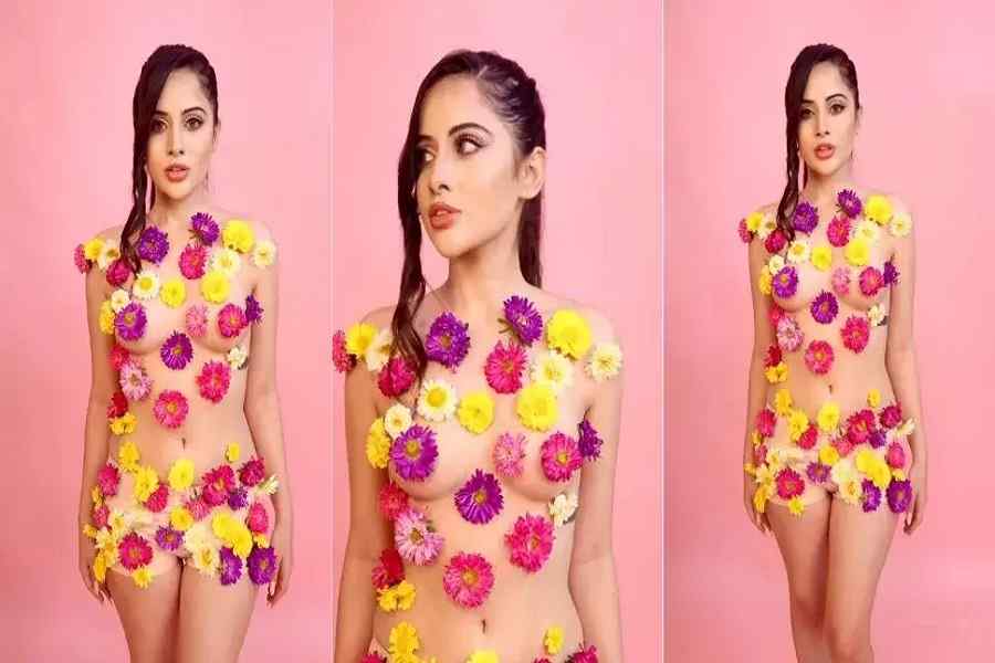 Urfi Javed Video 2023 : बदन पर फूल चिपकाकर उर्फी जावेद ने लांघ दी सारी हदें, बोल्डनेस देख बेकाबू हुए फैंस 2 Urfi Javed Video