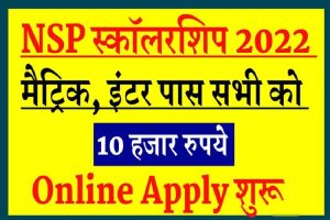 एक रुपये के नोट से कमाएं लाखों, फटाफट हो जाएंगे मालामाल 4 Nsp Cut off List 2022 : 10th/12th पास स्कॉलरशिप सभी को मिलेगा 10 हजार रूपये- देखें कैसे