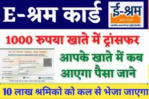 School me sardiyo ki chuttiyan:- अब सर्दी का असर, 25 दिसंबर से 5 जनवरी तक बंद रहेंगे स्कूल 2 E-Shram Card Payment Status 2022 : जिनका 1000 रुपया नहीं है वो अपना पैसा यहाँ से चेक कर सकते है लिंक जारी
