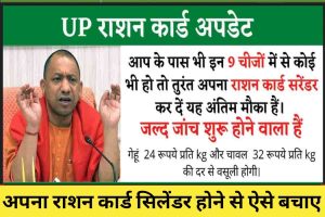 UP Ration Card 2023: राशन कार्ड, किस-किस को सरेंडर करना पड़ेगा, Last Date, लिस्ट जारी 2 UP Ration Card
