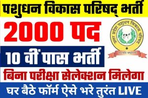 MBBS Admission: यहां से किया 10वीं / 12वीं तो सीधे मिलेगा MBBS मे Admission, जाने क्या है फीस और पूरी रिपोर्ट? 4 UPLDB Maitri Bharti : पशुधन विकास बोर्ड मे 10वीं पास वालो के लिए बम्पर पदो पर भर्तीया जारी