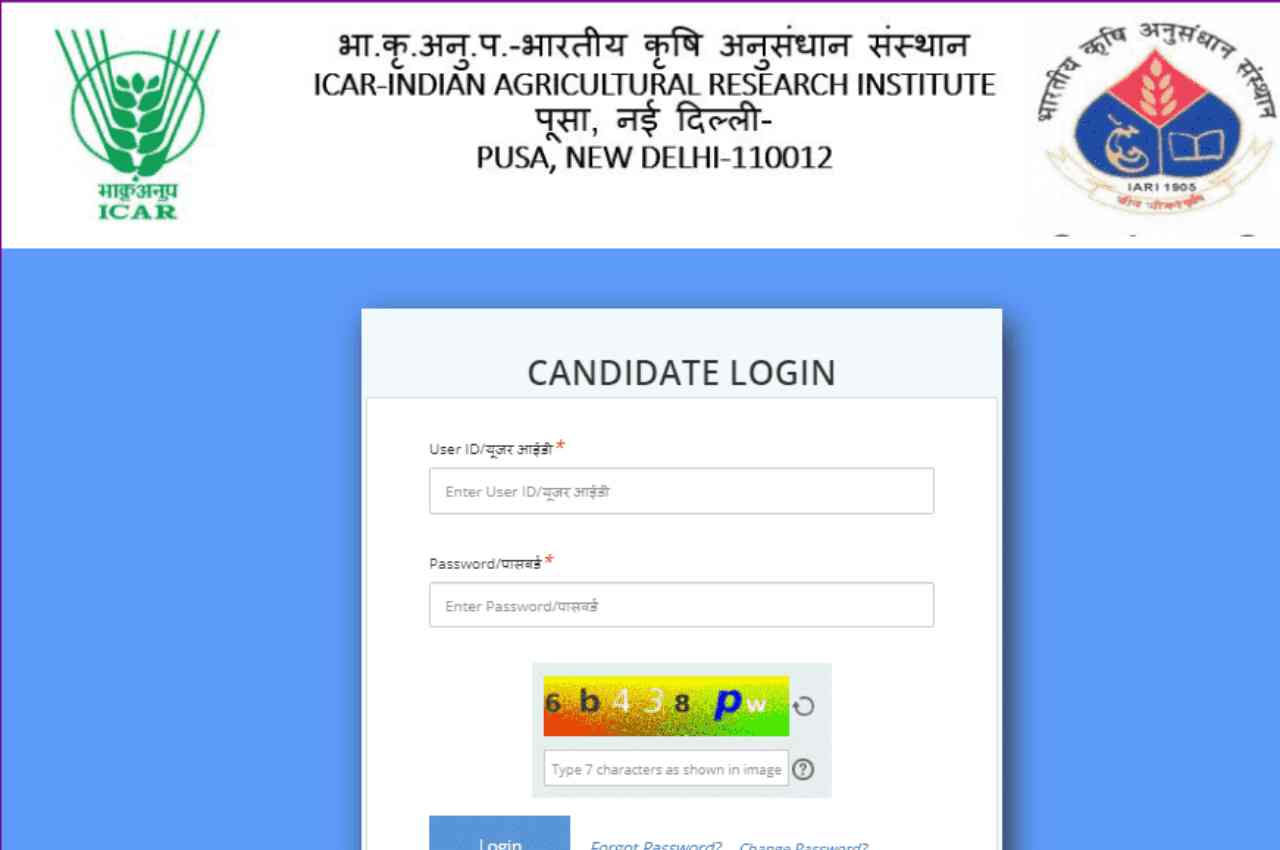 Untitled 1250 × 850 px 1280 × 850 px 43 compressed 2