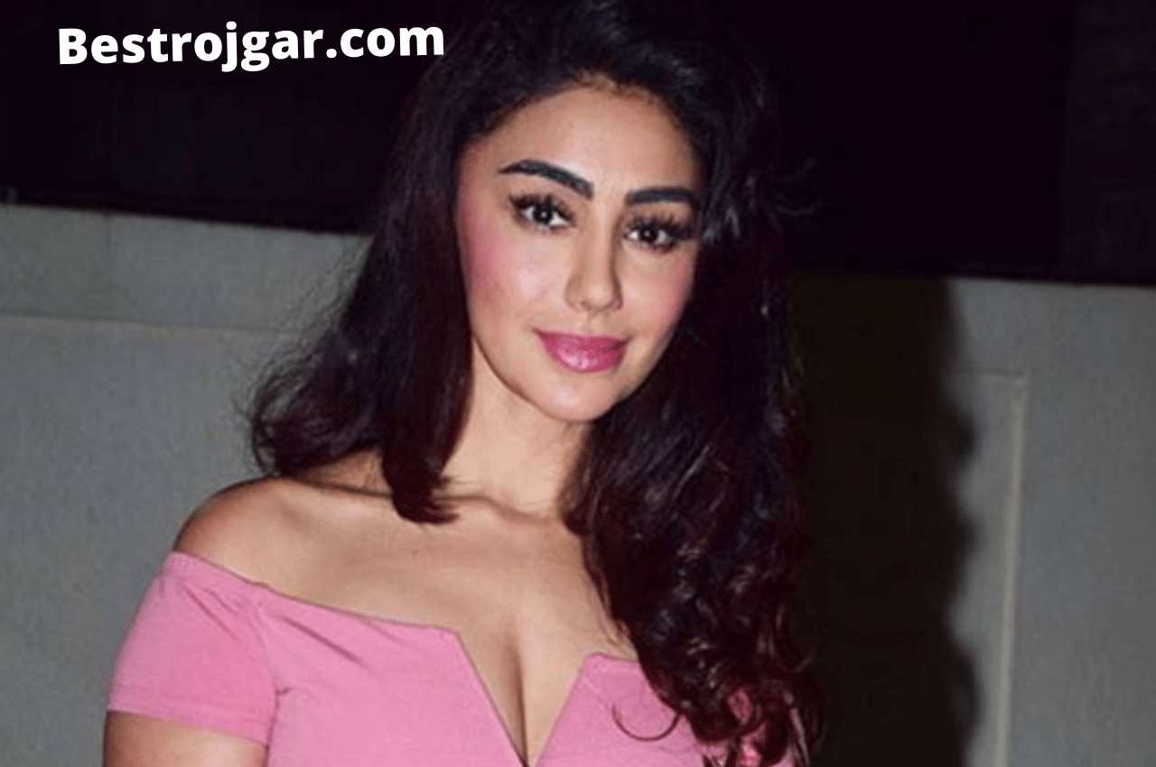 The Smell Of 'Naagin 6' Became A Victim Of Fraud