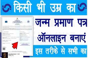 Birth Certificate Online 2022: Create Birth Certificate Online of Any Age