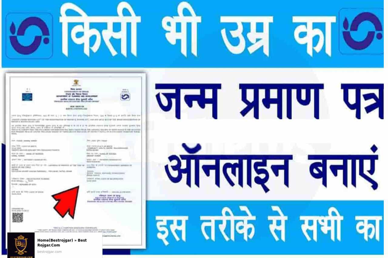 Birth Certificate Online 2022