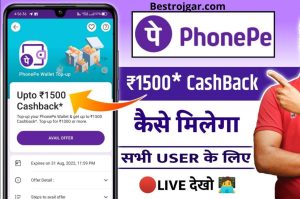 IBPS RRB X Final Result 2022 4 Phone Pe Se Rupee Kaise Kamaye | Phone Pe से घर बैठे प्रतिदिन ₹500 से अधिक रोजाना कमाने का नया तरीका