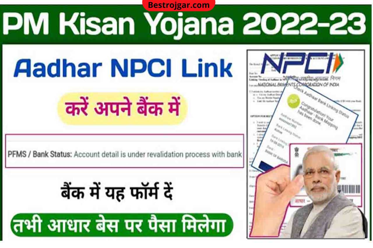 How To Link Aadhaar To Bank Account NPCI