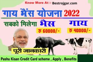 Reliance Jio in Sri Lanka 2024 : मालदीव अब नहीं बनेगा श्रीलंका! अंबानी ने खेला बढ़ा दाव और चीन हुआ फेल ,जाने पूरी रिपोर्ट 3 Pashu Kisan Credit Card ; भैसी है तो रु60000 और गाय है तो रु40000 मिलेगा, ऐसे करे अप्लाई?