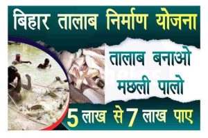 PNB Latest FD Rates 2023 : दिवाली से पहले पंजाब नेशनल बैंक का ग्राहकों को तोहफा, एफडी पर बढ़ाई ब्याज दर 6 Bihar Talab Nirman Yojana: तालाब निर्माण योजना बिहार 2022 – मछली पालन 70% अनुदान, ऐसे करे ऑनलाइन