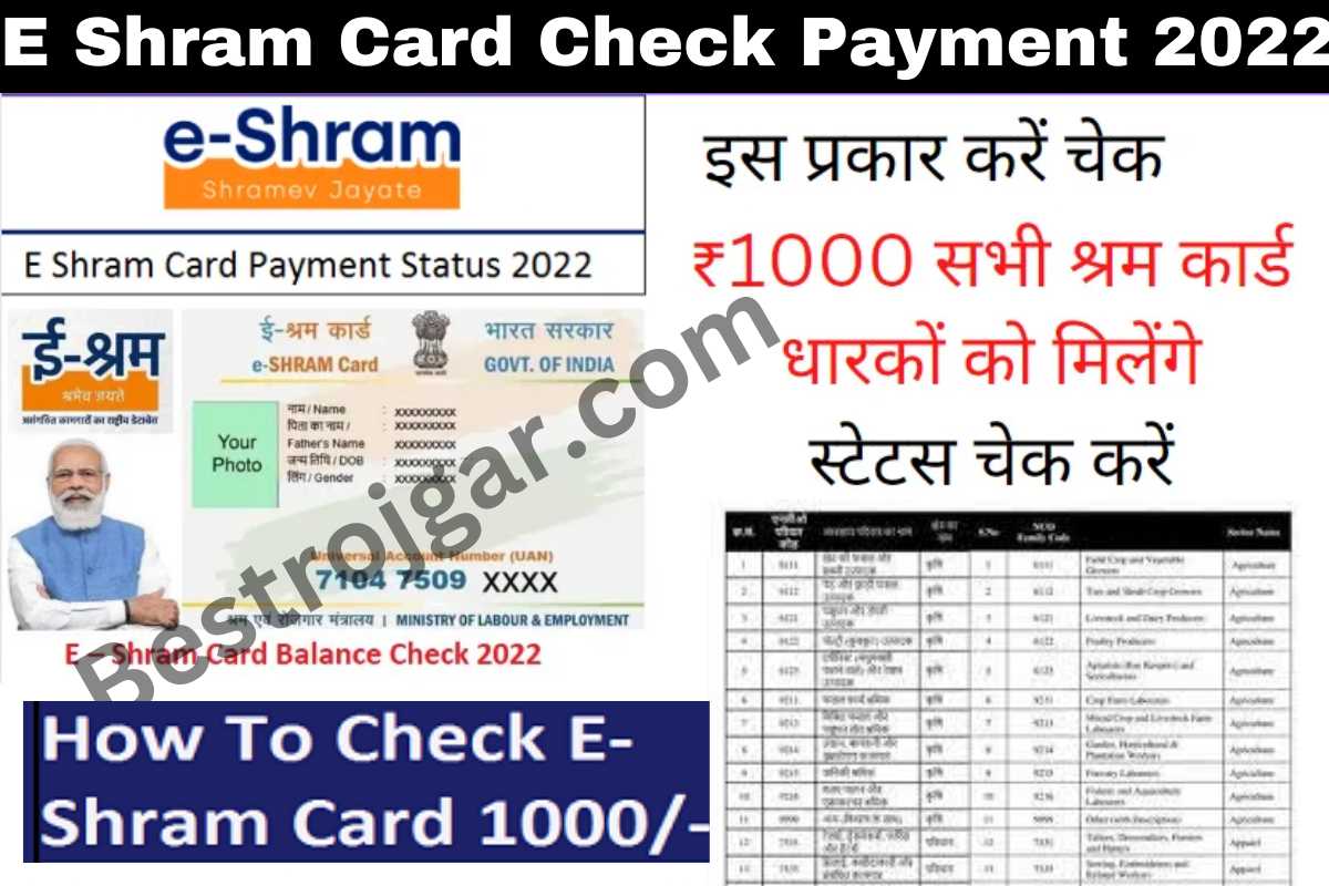 E Shram Card Check Payment 2022