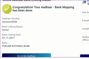 NPCI Aadhar Link Bank Account Status Check
