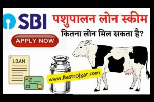 Pm Kisan yojna पीएम सम्मान निधि योजना 11वीं किस्त जारी लिस्ट देखें नाम 6 Animal Husbandry Loan Scheme: स्टेट बैंक की धान्सु योजना 2023