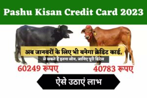 Pashu Kisan Credit Card 2023: अब जानवरों के लिए भी बनेगा क्रेडिट कार्ड, ले सकते हैं इतना लोन, जानिए पूरी डिटेल 2 Pashu Kisan Credit Card 2023