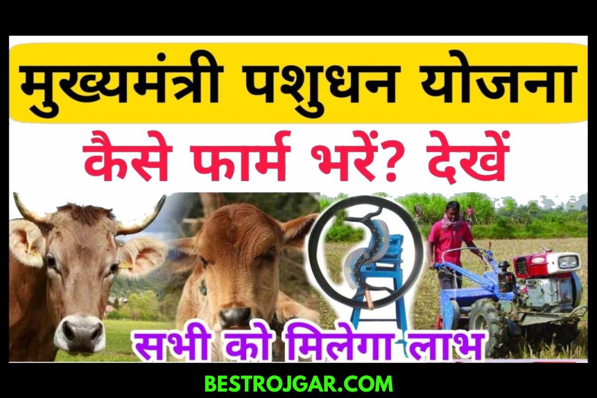 Mukhyamantri Pashudhan Vikas Scheme