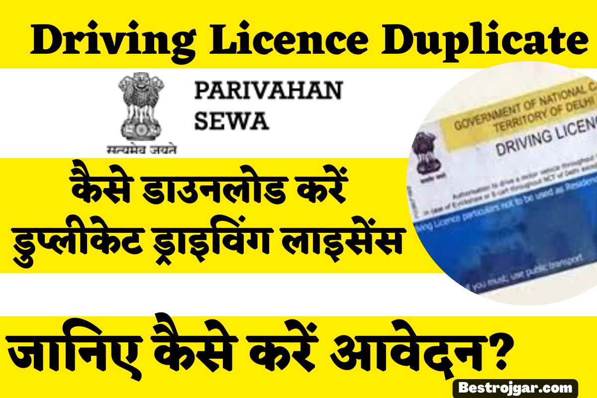 Driving Licence Duplicate
