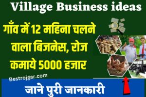 Village Business ideas | गांव में 12 महीने से चल रहा बिजनेस, रोज कमा रहे 5000 हजार - 2 Village Business ideas