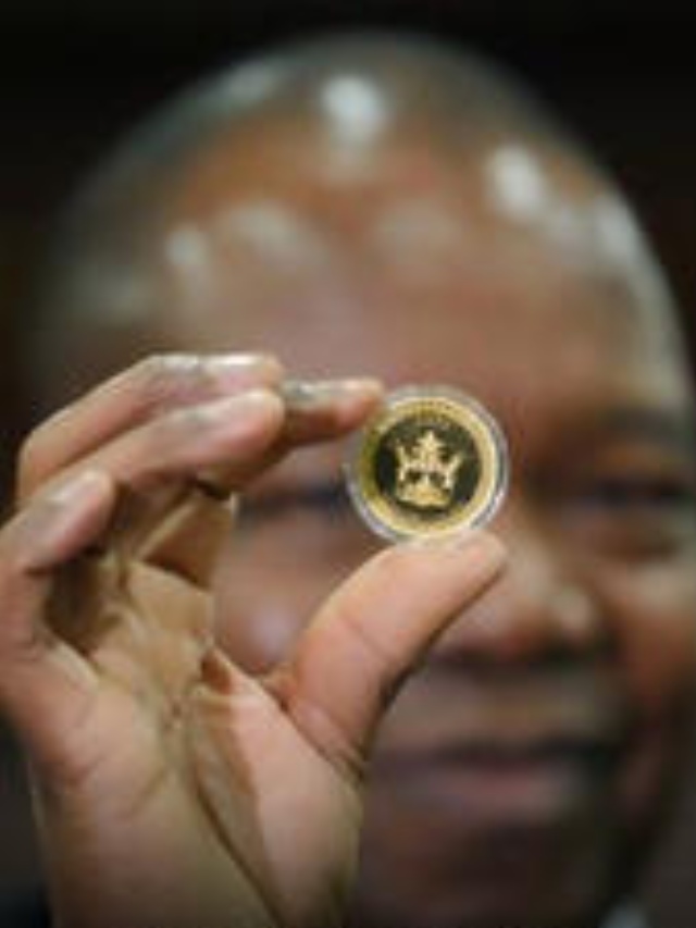 ZimBabwe Launch Of Gold-Backed Digital Currency-compressed