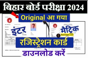 Which Is Better ACCA or CA 2024 : आपके करियर के लिए कौन सा बेस्ट है, ACCA या CA विस्तार से जानें – 6 BSEB Matric Inter Original 2024- बिहार बोर्ड ने अभी मूल मैट्रिक-इंटर पंजीकरण कार्ड जारी किया है, यहां देखें