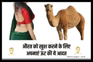 Chanakya Niti: एक महिला को खुश करने के लिए इस ऊंट की आदत को अपनाएं, पूर्ण परिणाम पहली बार उपलब्ध होंगे