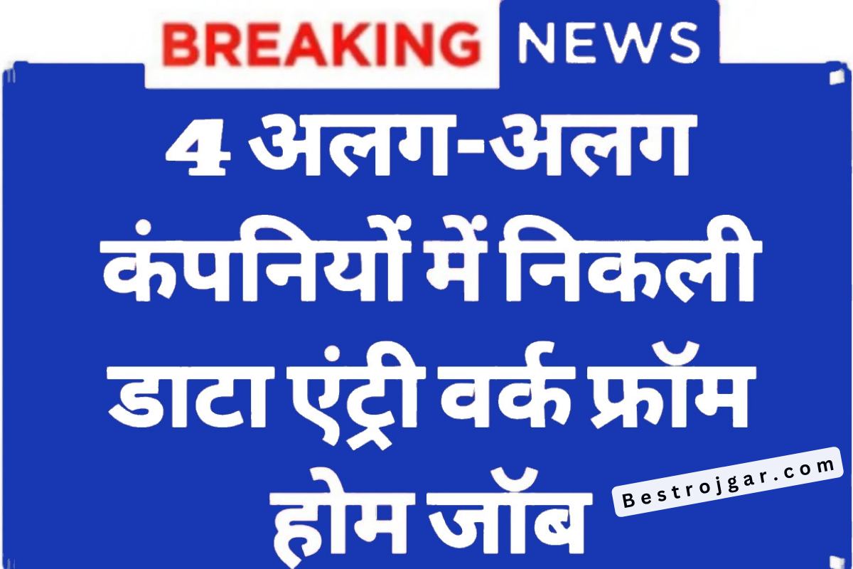 Data Entry Work from home