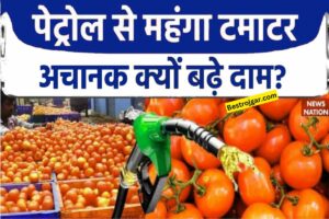 Rajasthan Tarbandi Yojana- आवेदन शुरू, यहां से करें आवेदन 2 Jane Tamatar ki kimat? भारत में पेट्रोल से मेह्गा हुआ टमाटर