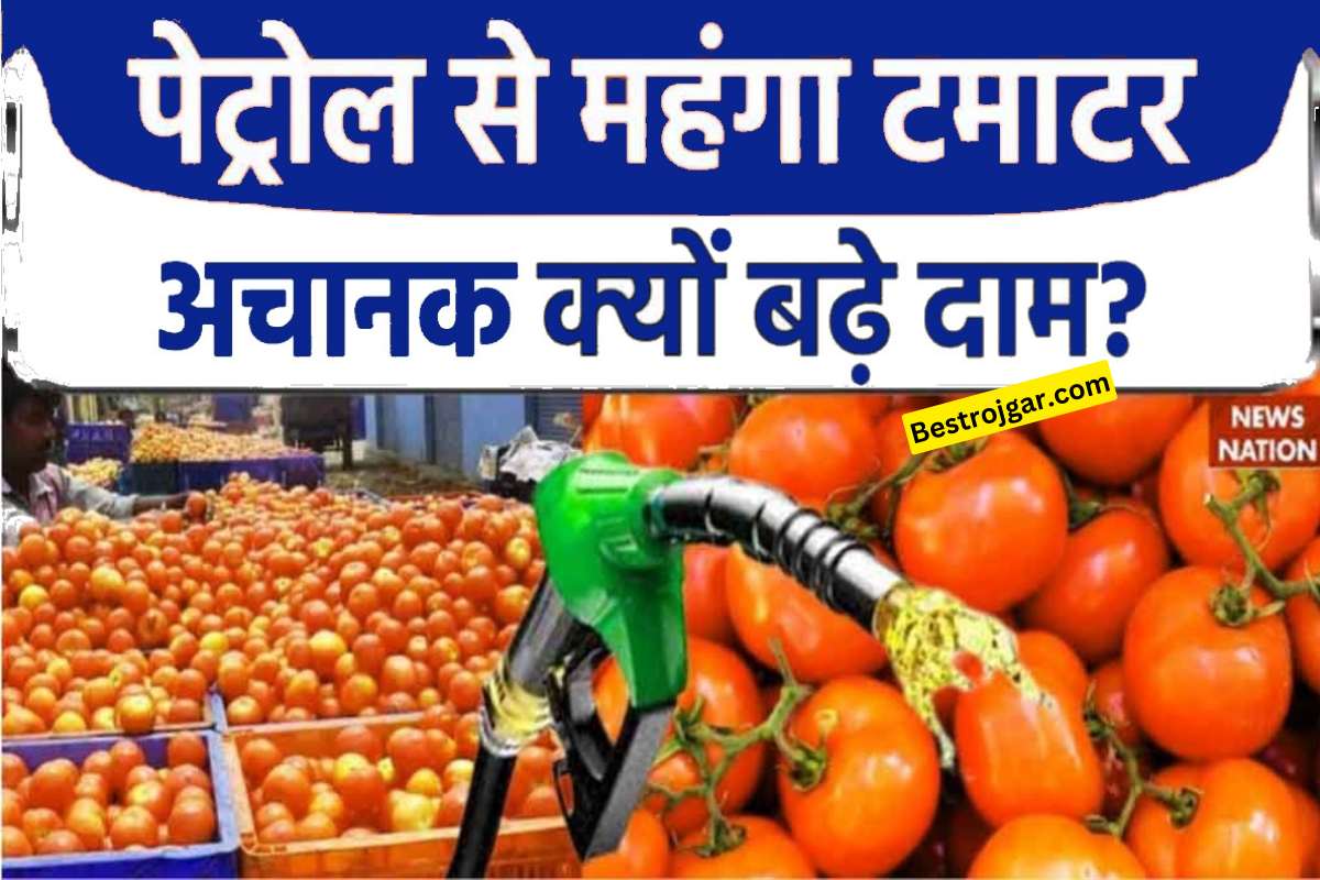 Jane Tamatar ki kimat