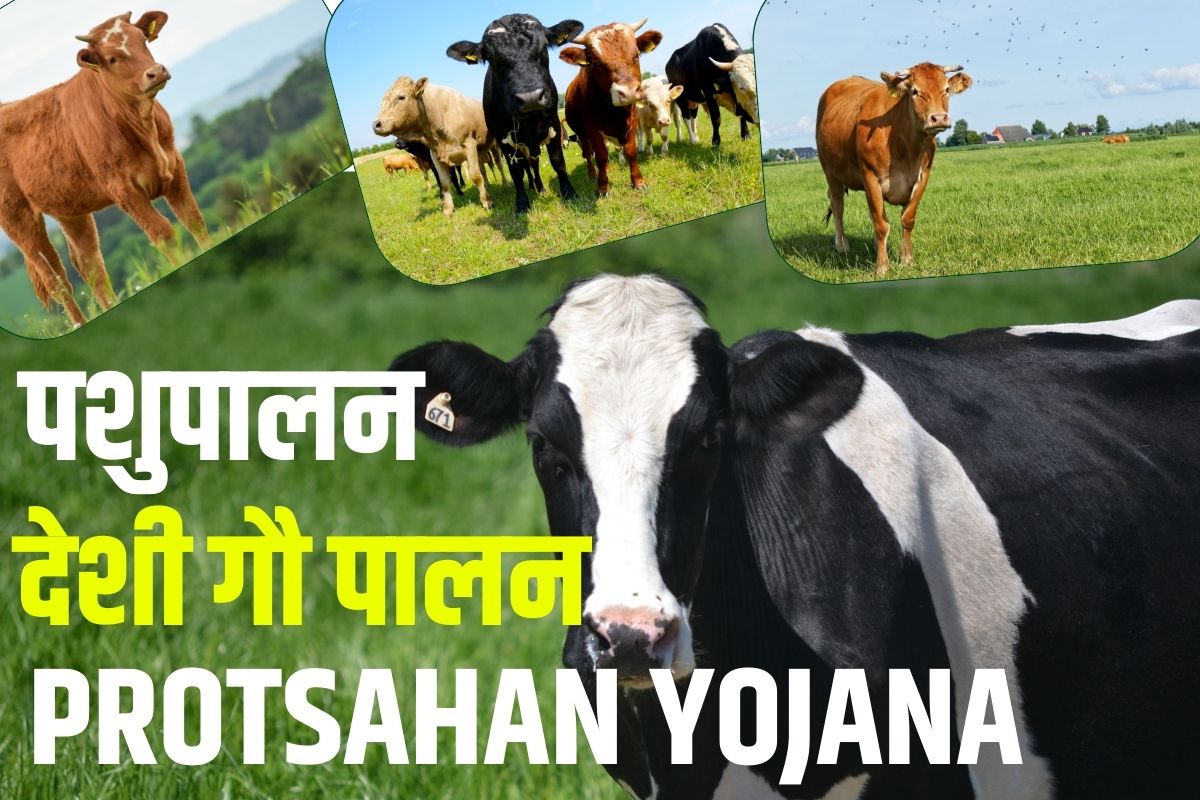 Bihar Desi Gaupalan Protosahan Yojana 2023: पशु पालने पर सरकार दे रही है 10 लाख रुपये की सहायता  राशि, इस तरह उठा सकते है लाभ।