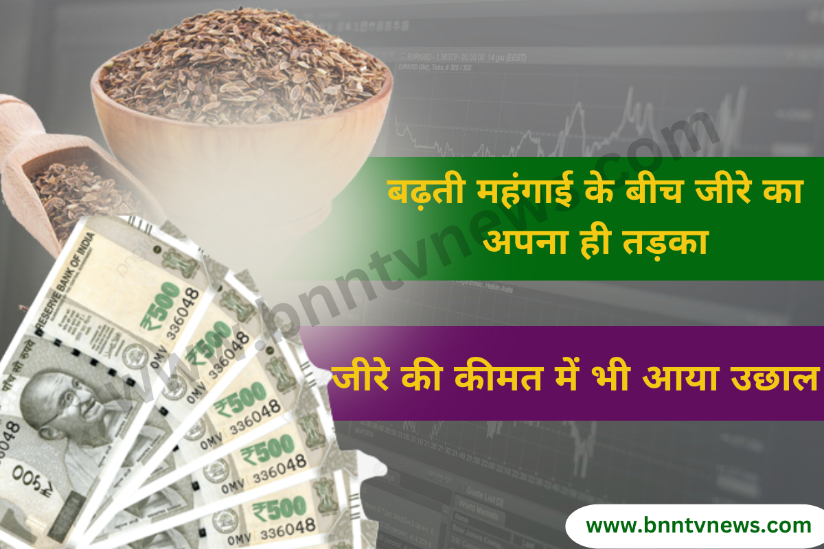 Cumins Rising Price: जीरा बिक रहा सोने के भाव, तोड़ा 70 सालों के महंगाई का रिकॉर्ड