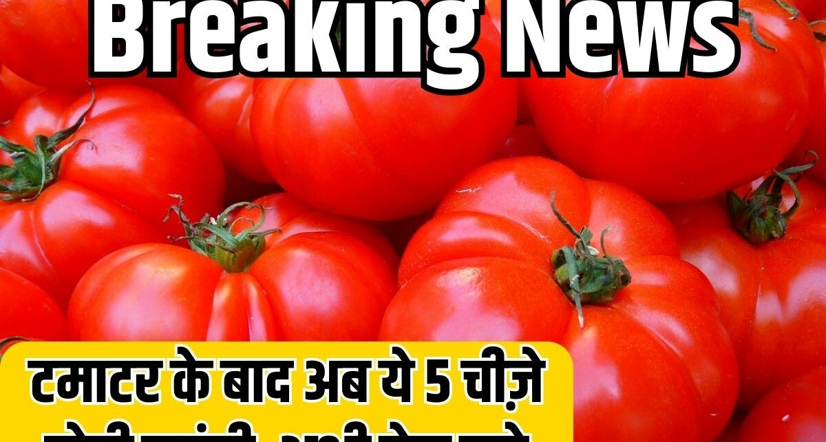 Tomato New Price