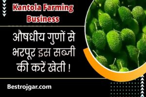 iPhone 15 pro max launch date 2024 : इस डेट को iPhone 15 सीरीज होगी लॉन्च, जानिए पूरी अपडेट 6 Easy Business Tips: इस सब्जी की खेती! तगड़ी होगी कमाई, जानें क्या है तरीका.