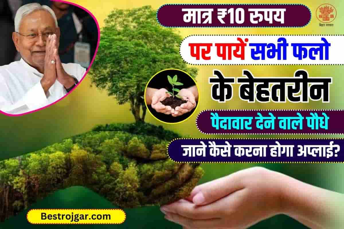Bihar Krishi Vaniki Yojana: मात्र रु. में उच्च उपज वाले फलों के पौधे प्राप्त करें। 10, अभी आवेदन करें! 3 Bihar Krishi Vaniki Yojana