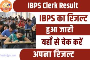 Pashupalan Vibhag Vacancy 2024: पशुपालन विभाग में 10वीं पास के लिए 5934 पदों का भर्ती 7 IBPS Clerk Result Out 2023 : जारी हुआ IBPS का रिजल्ट , यहाँ से फटाफट चेक करें अपना रिजल्ट