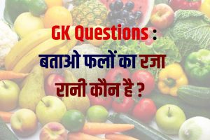SSC GD recruitment 2022: BSF, CRPF, CISF, SSB इत्यादि में 75813 पदों पर भर्ती, जाने आवेदन प्रक्रया 3 General Knowledge Questions 2023 : ये है प्रतियोगी परीक्षाओं के सबसे महत्वपूर्ण सवाल , जाने कौन कौन से है ?