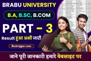 BRABU Part 3 Result 2023 :  Dr. B. R. Ambedkar Bihar University ने अपना रिजल्ट जारी किया ,यहाँ से अपना रिजल्ट चेक करें