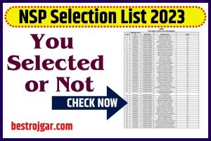 Bhool Bhulaiyaa 2 Collection Day 4: कार्तिक आर्यन बने हिंदी सिनेमा के हीरो नंबर वन, पहले वीकएंड का नया रिकॉर्ड 2 NSP Selection List 2023: Check Selected Applicants List, Download PDF @www.scholarships.gov.in