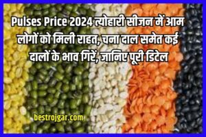 Sell Old 1 Rupee Coin: कमाई के रिकॉर्ड तोड़ देगा ये 1 रुपये का सिक्का, जानें खासियत और कहां बेचें 2 Pulses Price 2024: त्योहारी सीजन में आम लोगों को मिली राहत, चना दाल समेत कई दालों के भाव गिरें, जानिए पूरी डिटेल