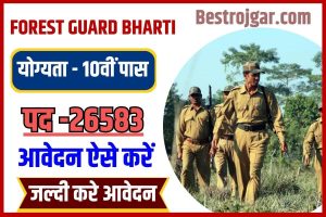 ESIC Paramedical Vacancy 2023: ESIC ने निकाली 12वीं पास युवाओं के लिए नई Paramedical Vacancy, जाने क्या है आवेदन की अन्तिम तिथि तथा आवेदन प्रक्रिया 7 Forest Guard recruitment 2023 : वन रक्षक के 26583 पदों पर निकली भर्ती , जाने आवेदन की पूरी प्रक्रिया ?