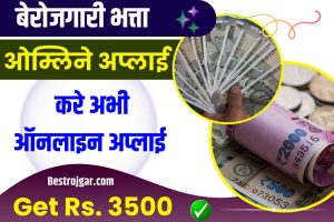 PM Free Silai Machine Yojana 2023:- सरकार सभी महिलाओं को मुफ्त सिलाई मशीन दे रही है, ऑनलाइन फॉर्म भरें 2 Chhattisgarh Berojgari Bhatta 2023: मिलेगा सब को बेरोजगारी भत्ता यहाँ से ओंलने अप्लाई करे