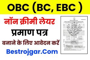 SSC Selection Post 11 Online Form 2023:- 2065 पदों के लिए @Ssc.Nic.In पर ऑनलाइन आवेदन करें 6 Bihar OBC NCL Certificate 2023: नॉन क्रीमी लेयर सर्टिफिकेट के लिए ऑनलाइन आवेदन कैसे करें Best Process