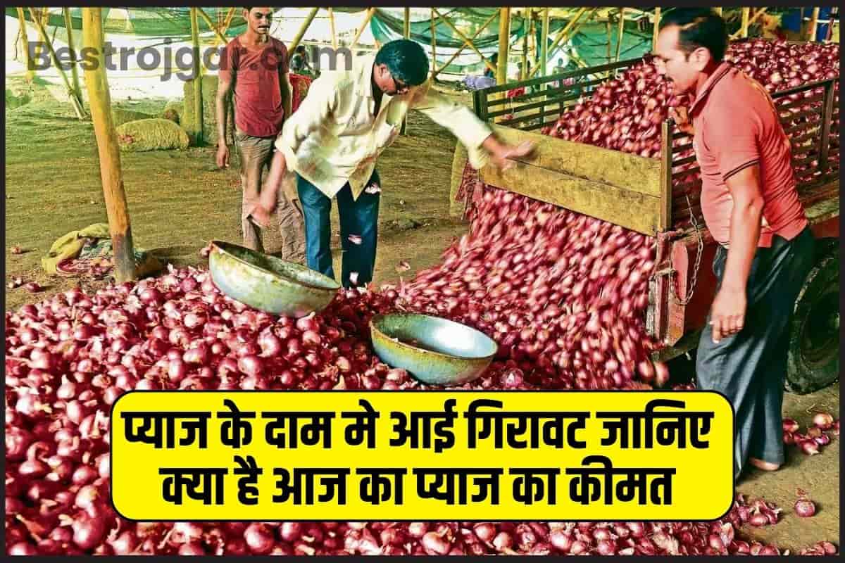 ONION PRICE UPDATE 2023