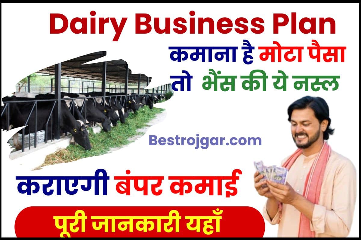 Dairy Business Plan