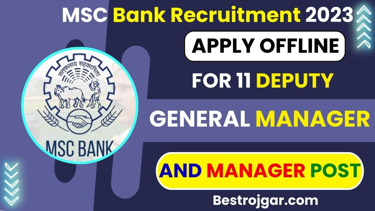 MSC Bank Recruitment 2023