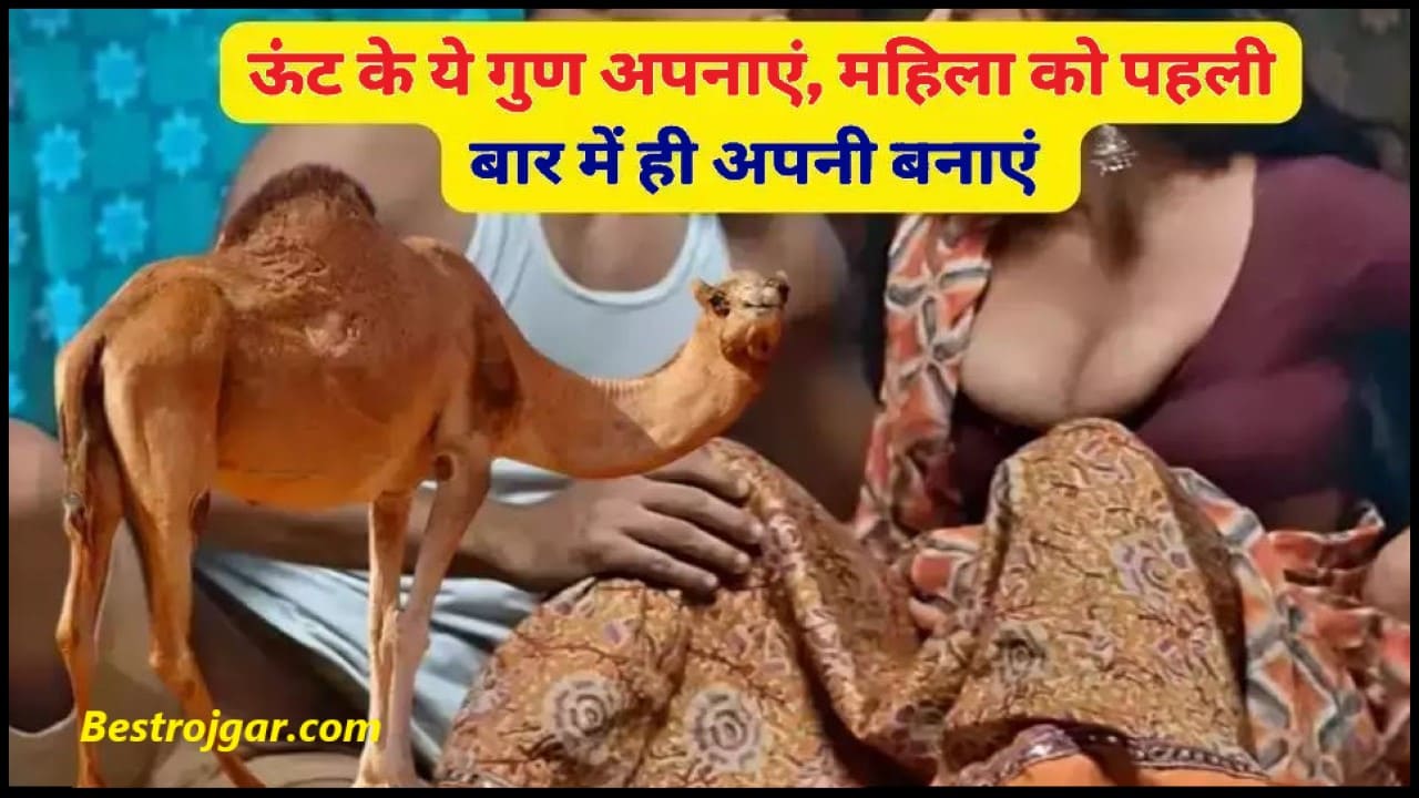 Chanakya Policy 2024 : औरत को खुश करने के लिए अपनाएं ऊंट की ये आदत, पहली बार में मिलेगा फुल रिजल्ट 2 Chanakya Policy 2024
