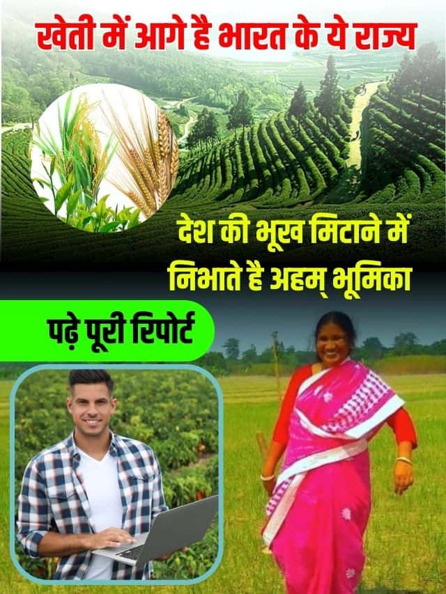 खेती में आगे है भारत के ये राज्य देश की भूख मिटाने में निभाते है अहम भूमिका ,पढ़े पूरी रिपोर्ट
