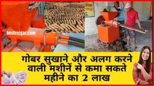 Aaj Ka Sarson Ka Bhav 2023: सरसों तेल की कीमतों में भारी गिरावट, यहां से खरीदें 3 New Business idea 2024: आप भीं गोबर से बने 5 सबसे ज्यादा बिकने वाले प्रोडक्ट से कमा सकते हर महीने का 2 लाख