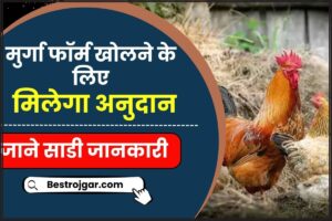 Bihar Poultry Farm Yojana 2024: ऑनलाइन आवेदन करें | मुगी पलान योजना पात्रता, सब्सिडी राशि और चयन प्रक्रिया जाने हमारे वेबसाइट पर