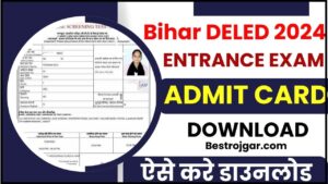 Bihar DELED Admit Card 2024: डाउनलोड लिंक – 2 डमी एडमिट कार्ड लिंक आउट देखे हमारे वेबसाइट पर