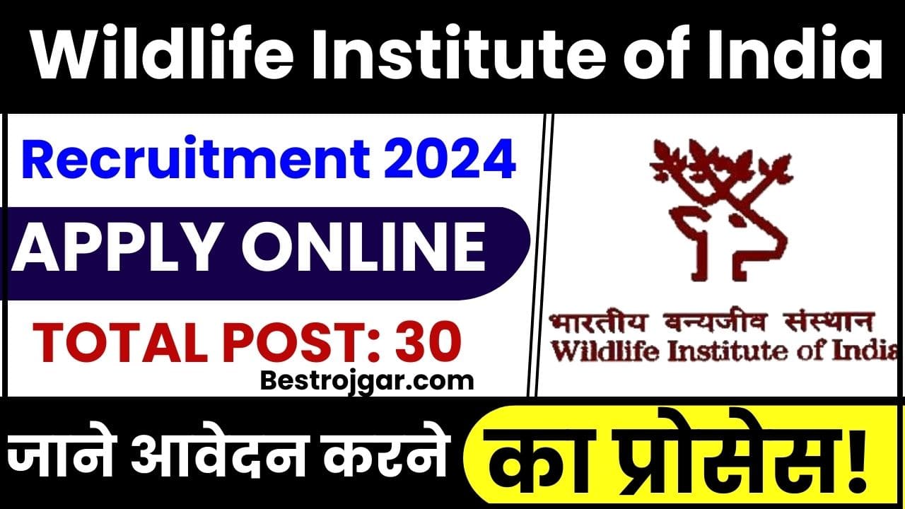 Wildlife Institute of India Recruitment 2024
